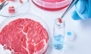 Лабораторный анализ пищевых продуктов по СанПиН в Тихорецке в октябре